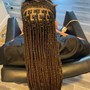 Kids Knotless Braids (Kids Only)