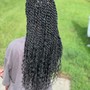 Medium Senegalese Twist