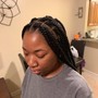 Medium Senegalese Twist