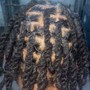 Loc retwist