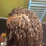 Tree Braids