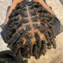 2 Strand Twists / Single Braids