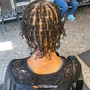 Starter Locs (2 Strand Twist Method)