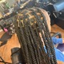 SMedium Knotless Braids ( HAIR INCLUDED)