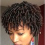 Comb Twist/ Coils