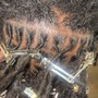 Two Feed in braids