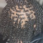 Loc Retwist