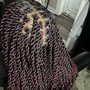 Havana Twists