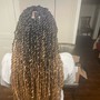 Senegalese Twist/Passion Twists