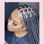 Medium Knotless braids midback