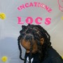 Starter Locs Ages 11 years and up