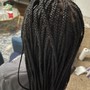 Small Box Braids