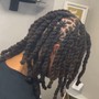 Starter Locs