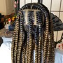 Poetic Justice Braids