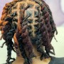 Starter Dreadlocks