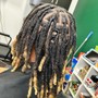 Traditional Starter Locs