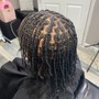 Root Touch Up