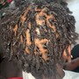 Kid's Starter Locs w/ Style Added