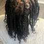 Natural Twists