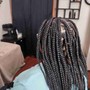 Basic Cornrolls  (No Extentions)