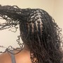 Starter Micro Loc Braids/twits (with extensions)