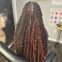 Passion / Senegalese Twist (Individual Crotchet, Medium Parts, ANY Length)