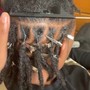 Starter Locs