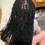 Starter Locs