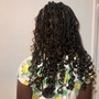 Senegalese Twist Medium (Standard Length)