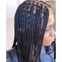 Kid's knotless braids(medium)