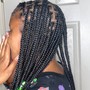 Natural Plates Braids