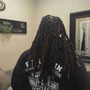 Dreadlocks (Starter)