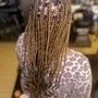 Root Touch Up