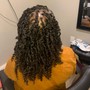 Locs retwist (half head )