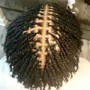 Comb Twist