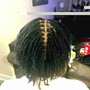 Tree Braids