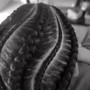 Mens Braids