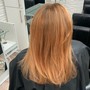 Root Touch Up with cut