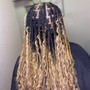 Half Feed In Braids w/Knotless