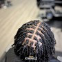 Plaits (Two Strand Twist or Braided)