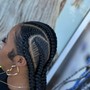 Two Strand Twists/Natural Hair