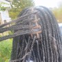 Medium Box Braids