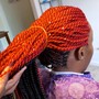 Medium Senegalese Twist (bra length)