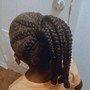 Braided ponytail