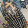 Havana/ Marley twist Braids