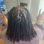 Starter locs on natural hair (coil or twist)