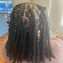 Starter locs on natural hair (coil or twist)