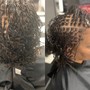 Root Touch Up