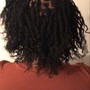 Re-Twist & Root touch up