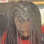 Starter Locs